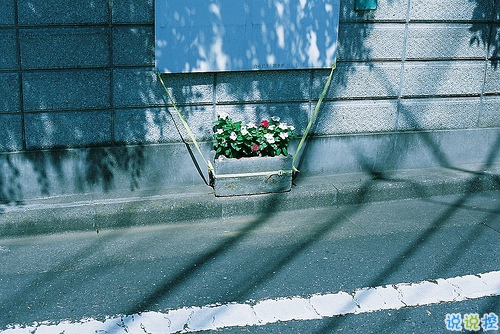 人生很現(xiàn)實經(jīng)典勵志圖片說說 人的一生難免有起伏15