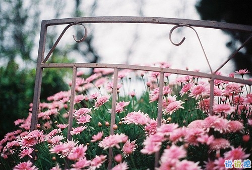 比較有詩(shī)意的愛(ài)情說(shuō)說(shuō)帶點(diǎn)傷感 傷感句子合集能走入女孩子內(nèi)心1