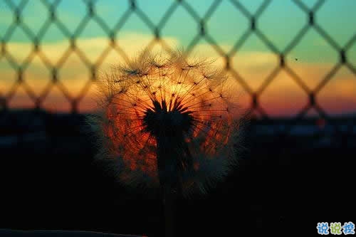 30條有道理的經(jīng)典說說 簡短但是道理深刻的句子大全1