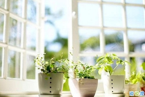 一個(gè)人被愛情傷透了的說說 被感情傷害的說說心情短語2