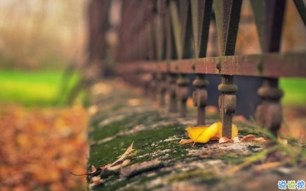 心里甜蜜蜜的愛情說(shuō)說(shuō)帶圖片 愛情說(shuō)說(shuō)一輩子只愛你11