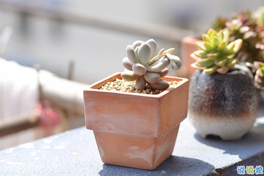 抖音比水還干凈的句子唯美又文藝 遺憾的是從沒(méi)被堅(jiān)定的選擇過(guò)1