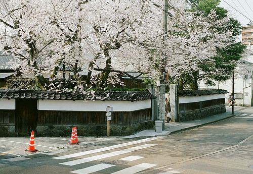 關(guān)于人生很現(xiàn)實(shí)的哲理說說帶圖片13