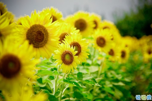 再見十月你好十一月個(gè)性說說帶圖片 11月請(qǐng)對(duì)我好一點(diǎn)心情說說8