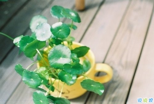 向女朋友求婚的話真實浪漫點 2019求婚句子大全簡單帶圖片5