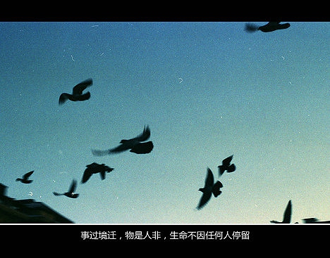 超傷感難過悲傷的愛情說說 你是我枯水年紀(jì)里的一場雨6