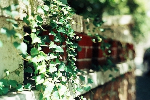 那些瞬間讓人紅了眼眶的歌詞和圖片2