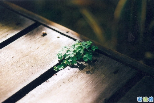 寫給自己的霸氣一段話個(gè)性說(shuō)說(shuō) 致自己的霸氣超拽勵(lì)志個(gè)性說(shuō)說(shuō)1