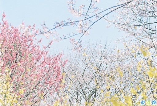 2019最新經(jīng)典說說給人希望 激勵(lì)人心的經(jīng)典說說帶圖片9