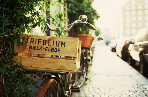 90后關于人生現(xiàn)實的很有哲理道理的精辟說說5