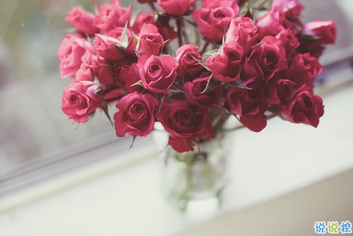 超甜蜜愛(ài)情說(shuō)說(shuō)給女朋友的 哄女朋友開(kāi)心的暖心告白句子2