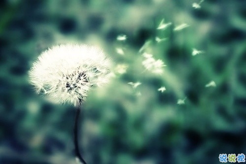 關(guān)于現(xiàn)實(shí)的人生感悟帶圖片 27條值得收藏和學(xué)習(xí)的經(jīng)典說(shuō)說(shuō)大全2