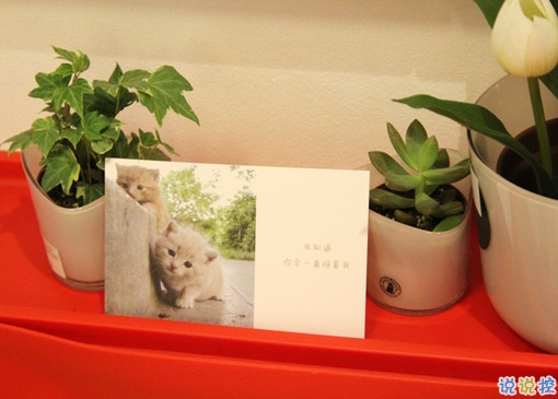 qq說說女生傷感心累了帶圖片 簡短一句話說說女生難過寂寞2