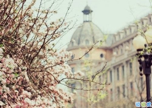 2019春分適合發(fā)朋友圈的說(shuō)說(shuō)句子帶圖片 今日春分早安經(jīng)典說(shuō)說(shuō)13