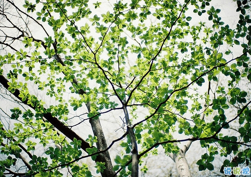 2019微信朋友圈勵志晚安心語帶圖片 早安晚安勿忘心安7