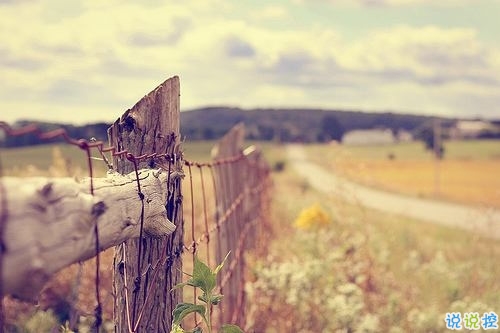 2019春分適合發(fā)朋友圈的說(shuō)說(shuō)句子帶圖片 今日春分早安經(jīng)典說(shuō)說(shuō)11