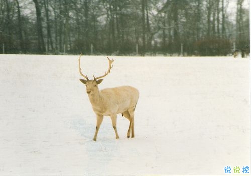 關(guān)于分離分別的傷感說說 每個(gè)人都是孤獨(dú)的傷感說說20181