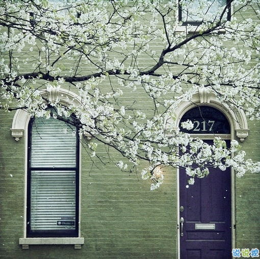 森系小清新文藝范簡(jiǎn)單的一句話經(jīng)典說說 很有道理也有韻味的復(fù)古說說1