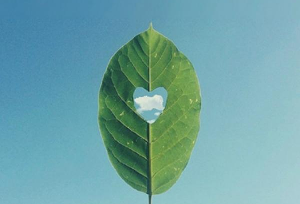 關(guān)于人生的超勵(lì)志正能量圖片說說 你優(yōu)秀了自然有對的人與你并肩10