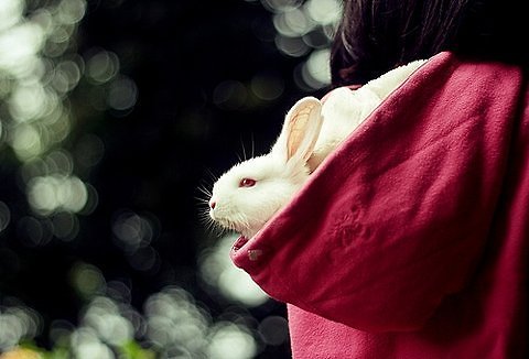 超唯美文藝的說(shuō)說(shuō)帶圖片 你看沒(méi)看見(jiàn)我都盛開(kāi)風(fēng)來(lái)不來(lái)芬芳都在2