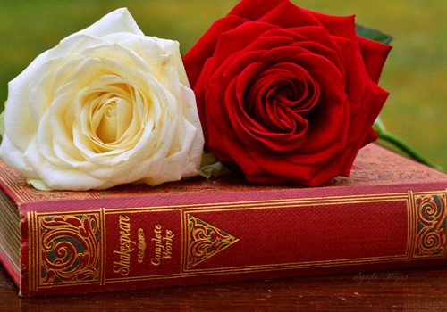 痛徹心扉的傷感愛情說說帶圖片 我在每個(gè)下雨天想起你15