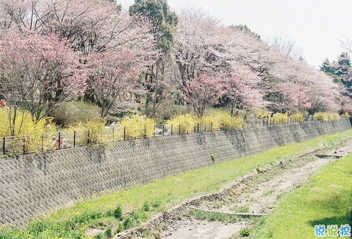 2019最新經(jīng)典說說給人希望 激勵(lì)人心的經(jīng)典說說帶圖片13