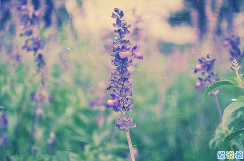 2019唯美說說帶圖片高質(zhì)量 適合發(fā)朋友圈的唯美句子8