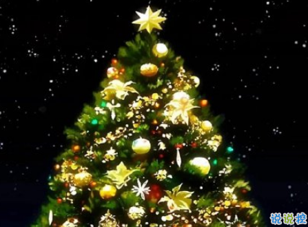 2018最新圣誕節(jié)搞笑說(shuō)說(shuō)大全帶圖片 圣誕有趣的朋友圈說(shuō)說(shuō)精辟7