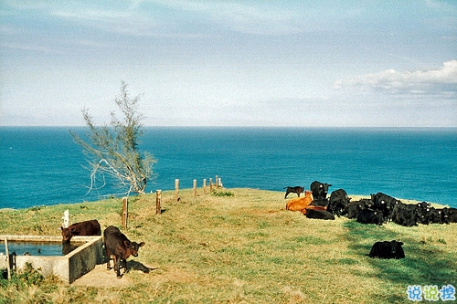 鼓舞人心的經(jīng)典說(shuō)說(shuō)帶圖片 朋友圈點(diǎn)贊超多的經(jīng)典說(shuō)說(shuō)4