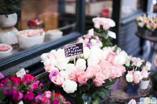 超級適合冬天發(fā)的說說句子帶圖片 冬天很冷發(fā)朋友圈的唯美句子5