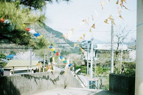 超唯美文藝的說(shuō)說(shuō)帶圖片 你看沒(méi)看見(jiàn)我都盛開(kāi)風(fēng)來(lái)不來(lái)芬芳都在13