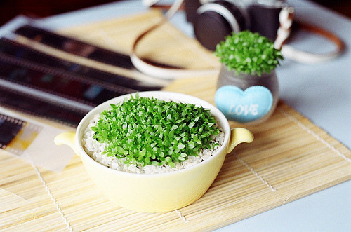 適合深夜心情不好孤獨寂寞時候發(fā)的圖片說說 喜歡你是一場漫長的失戀 ?8