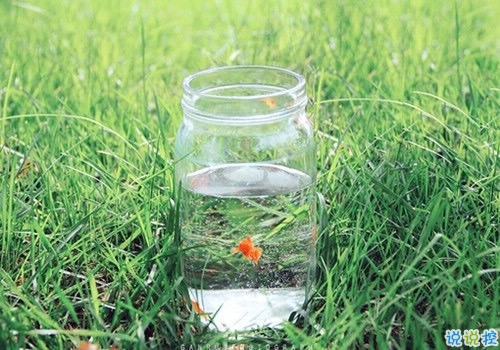 那些抖音中唯美的小清新圖片句子 浮世萬千吾愛有三15