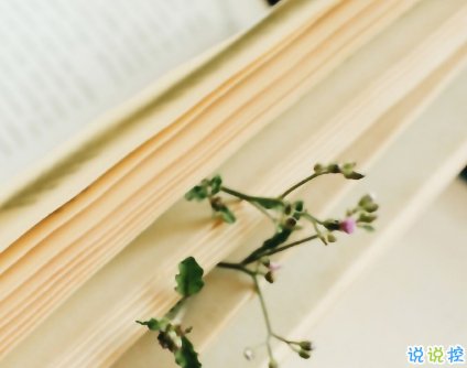 簡短的帶唯美的說活帶圖片 簡單一句話說說表達(dá)心中的情感3