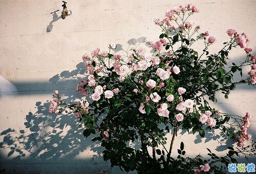 2019心里難受的說(shuō)說(shuō)帶圖片 一絲絲難過(guò)的朋友圈說(shuō)說(shuō)7