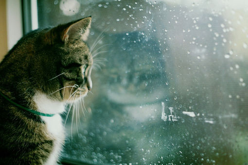 治愈系溫暖小清新句子和圖片 此生只想同你嘗盡煙火1