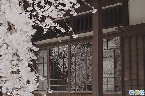 14條很美很好聽的文藝唯美說說帶圖片 森系文藝范古風說說1