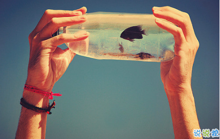 艾特自己的自嘲句子說說文字控 有關艾特自己的個性說說2