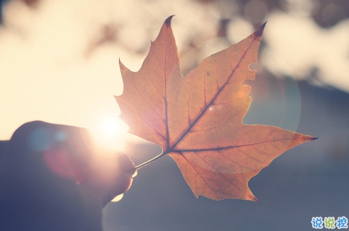 向女朋友求婚的話真實浪漫點 2019求婚句子大全簡單帶圖片6