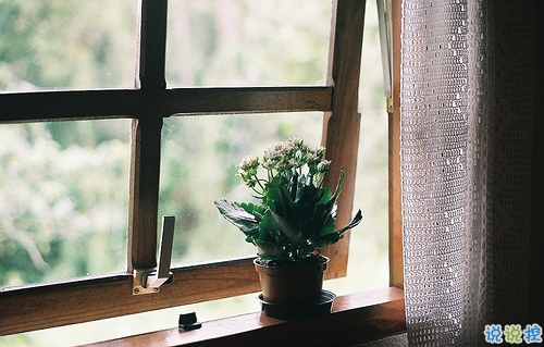 2019元宵節(jié)情話說說溫暖打動人 比較適合表白的句子帶圖片6