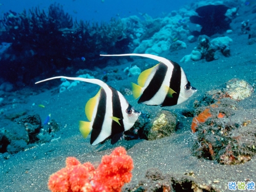 鼓舞人心的經(jīng)典說(shuō)說(shuō)帶圖片 朋友圈點(diǎn)贊超多的經(jīng)典說(shuō)說(shuō)9