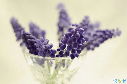 心里有事失眠的說說2019最新 失眠夜述說心事的傷感句子2