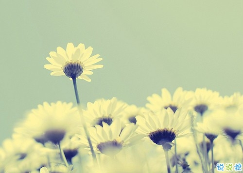 微信唯美憂傷說(shuō)說(shuō)一句話帶圖片 適合悲傷時(shí)發(fā)的唯美句子14