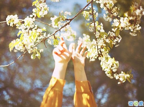 想說給你的一句心里話愛情說說 愛情說說很現(xiàn)實的說說1