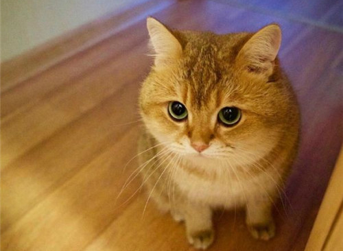 可以戳中中你笑點(diǎn)的搞笑說(shuō)說(shuō)帶圖片4