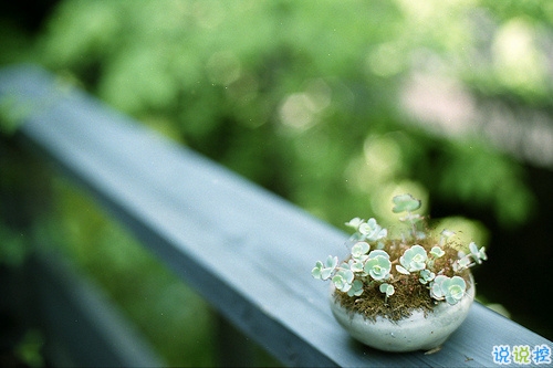 特別經(jīng)典人生的說(shuō)說(shuō)值得收藏帶圖片 朋友圈吸引人的經(jīng)典說(shuō)說(shuō)3