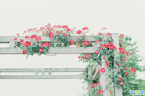 提起愛情就想哭的傷感說(shuō)說(shuō) 關(guān)于感情的傷感愛情說(shuō)說(shuō)1