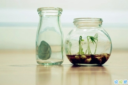 2019抖音最火傷感語錄 聽起來很心酸掉眼淚的句子1