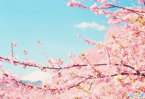 微信朋友圈愛情說說帶圖片 陽(yáng)光灑在身上像極了愛情12