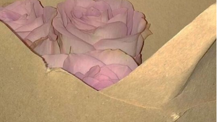 忽而夏至的悲傷日記的傷感說說配圖 你最美的青春都在陪他吃苦11